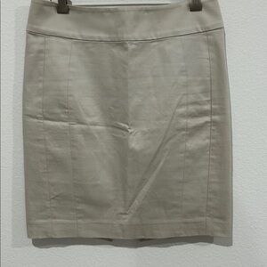 Express Classic Light Grey / Cool Beige Skirt